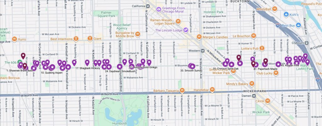 Google Map screenshot of Bloomingdale Trail with many purple pins all along.