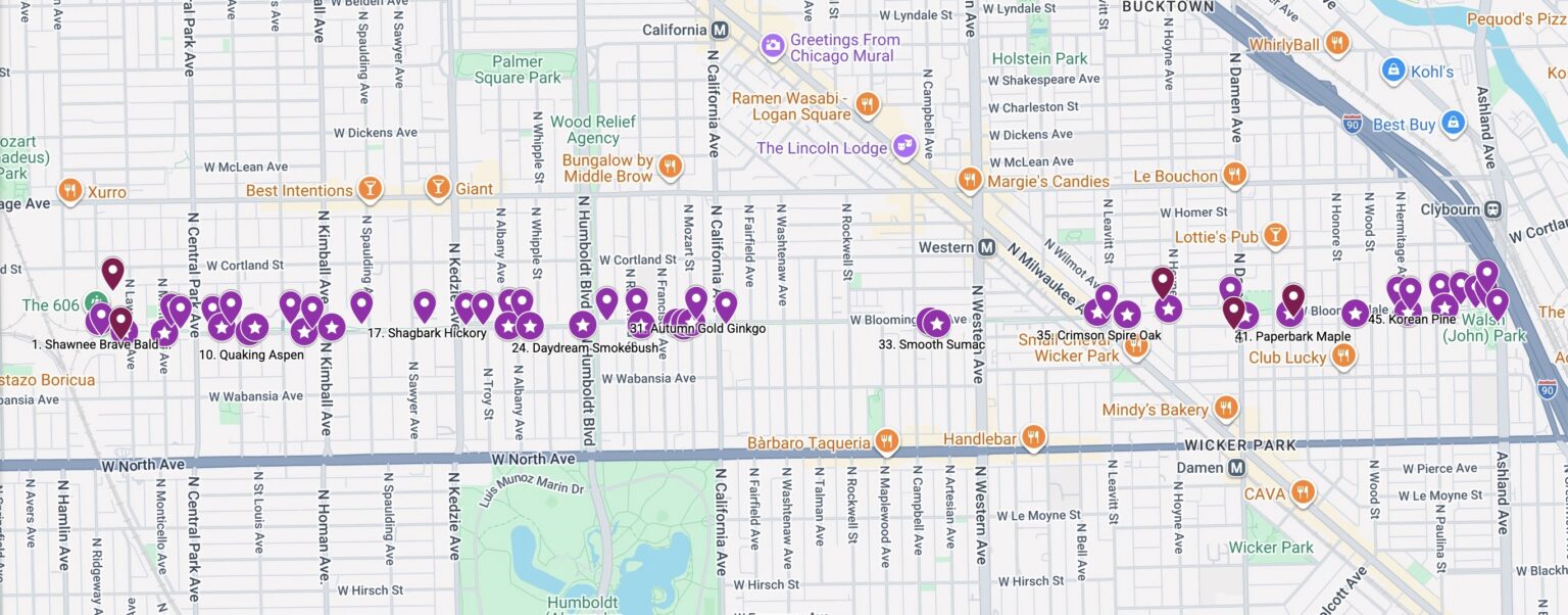 Google Map screenshot of Bloomingdale Trail with many purple pins all along.